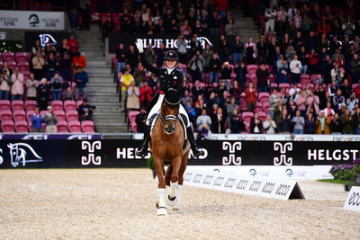 dressage
Afsked med Atterupgaards Cassidy
Keywords: Atterupgaards Cassidy;cathrine laudrup-dufour;pt;lap of honour