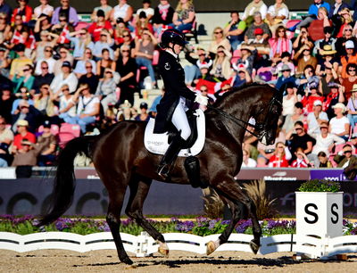 dressage
granprix special
Keywords: pt;carina cassøe krüth;heiline's danciera