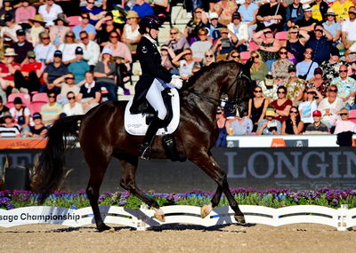 dressage
granprix special
Keywords: pt;carina cassøe krüth;heiline's danciera