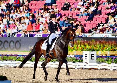 dressage
granprix special
Keywords: nanna skodborg merrald;bh  zack;blue hors zack