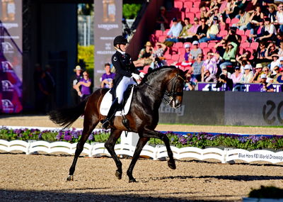 dressage
granprix special
Keywords: nanna skodborg merrald;bh  zack;blue hors zack