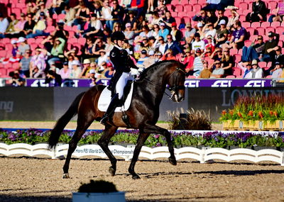 dressage
granprix special
Keywords: nanna skodborg merrald;bh  zack;blue hors zack