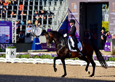 dressage
granprix special
Keywords: nanna skodborg merrald;bh  zack;blue hors zack