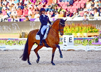 dressage
granprix special
Keywords: pt;cathrine laudrup-dufour;vamos amigos