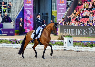 dressage
granprix special
Keywords: pt;cathrine laudrup-dufour;vamos amigos