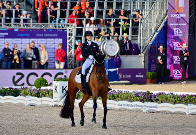 dressage
granprix special
Keywords: pt;cathrine laudrup-dufour;vamos amigos