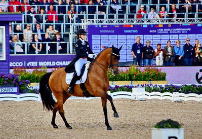 dressage
granprix special
Keywords: pt;cathrine laudrup-dufour;vamos amigos