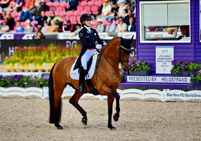 dressage
granprix special
Keywords: pt;cathrine laudrup-dufour;vamos amigos