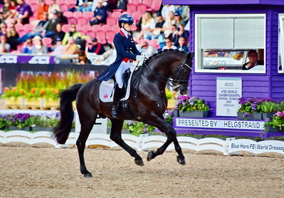 dressage
granprix special
Keywords: pt;charlotte fry;glamourdale