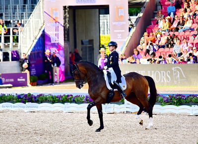 dressage
granprix special
Keywords: pt