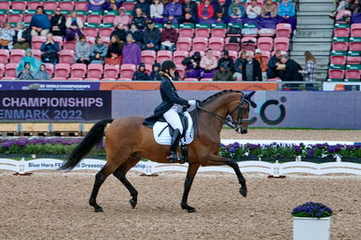 Dressage
grand prix de drassage team championship
Keywords: pt;trude k hestengen;christianslund furstino