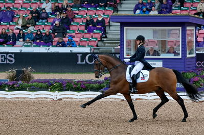 Dressage
grand prix de drassage team championship
Keywords: pt;trude k hestengen;christianslund furstino