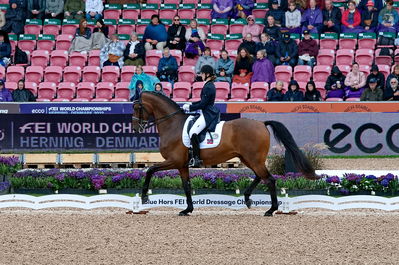 Dressage
grand prix de drassage team championship
Keywords: pt;trude k hestengen;christianslund furstino