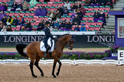 Dressage
grand prix de drassage team championship
Keywords: pt;trude k hestengen;christianslund furstino