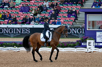 Dressage
grand prix de drassage team championship
Keywords: pt;trude k hestengen;christianslund furstino