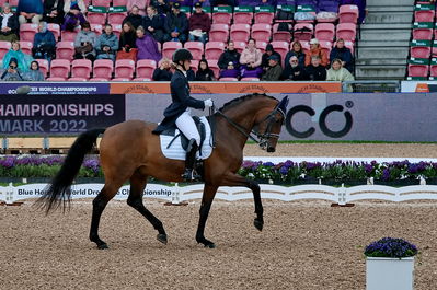 Dressage
grand prix de drassage team championship
Keywords: pt;trude k hestengen;christianslund furstino