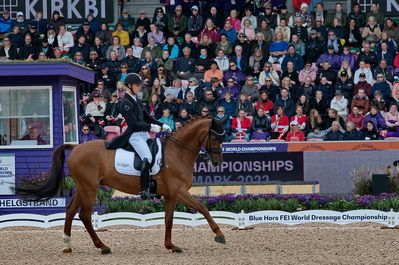 dressageg
grand prix de drassage team championship
Keywords: pt;daniel bachmann andersen;marshall-bell