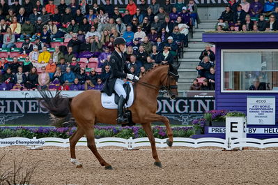 dressageg
grand prix de drassage team championship
Keywords: pt;daniel bachmann andersen;marshall-bell