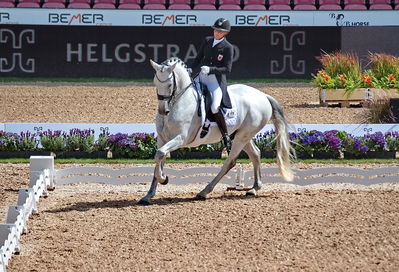 Dressage
grand prix de drassage team championship
Keywords: pt;fie christine skarsoe;imperador dos cetros