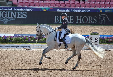 Dressage
grand prix de drassage team championship
Keywords: pt;fie christine skarsoe;imperador dos cetros