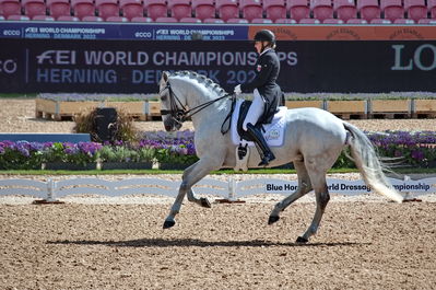 Dressage
grand prix de drassage team championship
Keywords: pt;fie christine skarsoe;imperador dos cetros