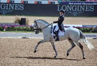 Dressage
grand prix de drassage team championship
Keywords: pt;fie christine skarsoe;imperador dos cetros