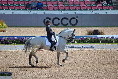 Dressage
grand prix de drassage team championship
Keywords: pt;fie christine skarsoe;imperador dos cetros