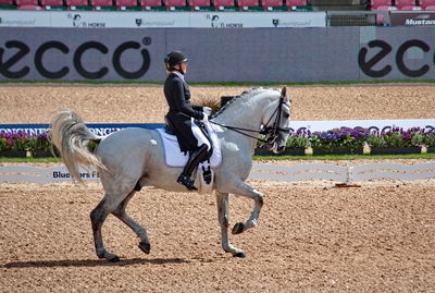 Dressage
grand prix de drassage team championship
Keywords: pt;fie christine skarsoe;imperador dos cetros