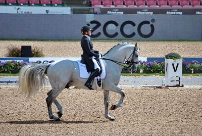 Dressage
grand prix de drassage team championship
Keywords: pt;fie christine skarsoe;imperador dos cetros