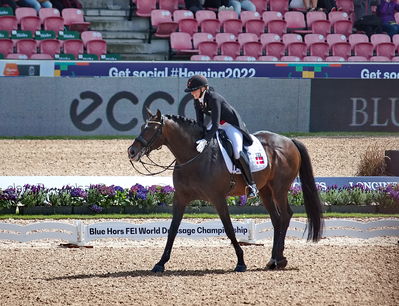 Dressage
grand prix de drassage team championship
Keywords: pt;nanna merrald rasmussen;bh zack