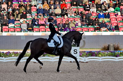 Dressage
grand prix de drassage team championship
Keywords: pt;carina cassøe krüth;heiline's danciera