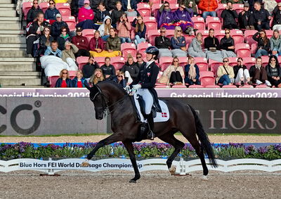 Dressage
grand prix de drassage team championship
Keywords: pt;carina cassøe krüth;heiline's danciera