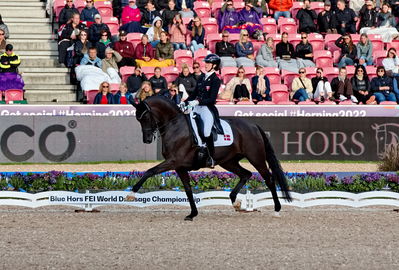 Dressage
grand prix de drassage team championship
Keywords: pt;carina cassøe krüth;heiline's danciera