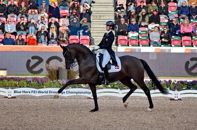 Dressage
grand prix de drassage team championship
Keywords: pt;carina cassøe krüth;heiline's danciera