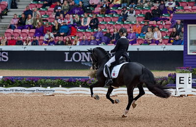 dressageg
grand prix de drassage team championship
Keywords: pt;isabel freese;total hope old