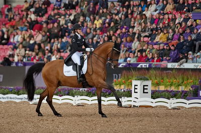 dressageg
grand prix de drassage team championship
Keywords: pt;cathrine laudrup-dufour;vamos amigos