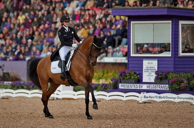 dressageg
grand prix de drassage team championship
Keywords: pt;cathrine laudrup-dufour;vamos amigos