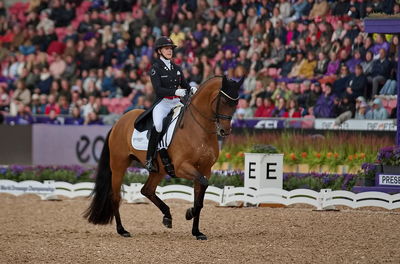 dressageg
grand prix de drassage team championship
Keywords: pt;cathrine laudrup-dufour;vamos amigos