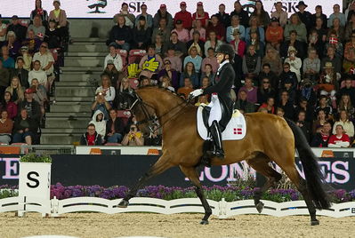 Dressage
Dressage kûr
Keywords: pt;cathrine laudrup-dufour;vamos amigos