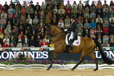 Dressage
Dressage kûr
Keywords: pt;cathrine laudrup-dufour;vamos amigos