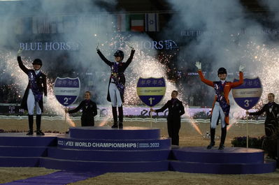 Dressage
Dressage kûr
Keywords: cathrine laudrup-dufour;charlotte fry;dinja van liere;lap of honour;pt;fireworks