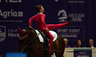 voltering
fei world squad vaulting championship
Keywords: pt