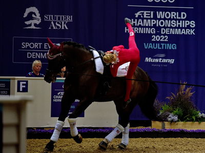 voltering
fei world squad vaulting championship
Keywords: pt