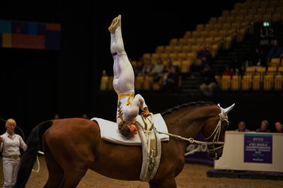 voltering
FEI WORLD FEMALE INDIVIDUAL VAULTING CHAMPIONSHIP
Keywords: pt;iben dines pedersen;tophoejs geleto lieto