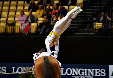 voltering
FEI WORLD FEMALE INDIVIDUAL VAULTING CHAMPIONSHIP
Keywords: pt;iben dines pedersen;tophoejs geleto lieto