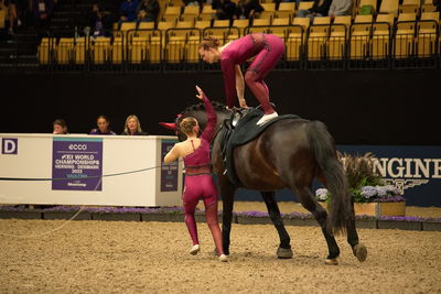 voltering
FEI WORLD PAS-DE-DEUX VAULTING CHAMPIONSHIP
Keywords: pt;maria thinggaard soerensen;freja linde;qiun of oesterholm