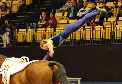 voltering
CH-M-V Herning 2022 - Vaulting
Keywords: pt;iben dines pedersen;tophoejs geleto lieto