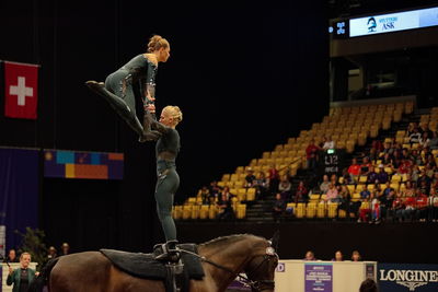 voltering
fei world squad championship final
Keywords: pt;denmark;danmark