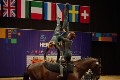 voltering
fei world squad championship final
Keywords: pt;denmark;danmark