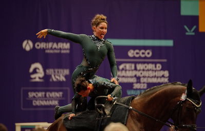 voltering
fei world squad championship final
Keywords: pt;denmark;danmark